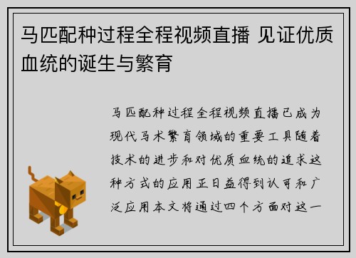 马匹配种过程全程视频直播 见证优质血统的诞生与繁育