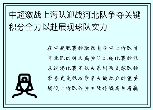 中超激战上海队迎战河北队争夺关键积分全力以赴展现球队实力